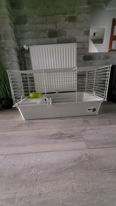 Klatka dla świnki morskiej