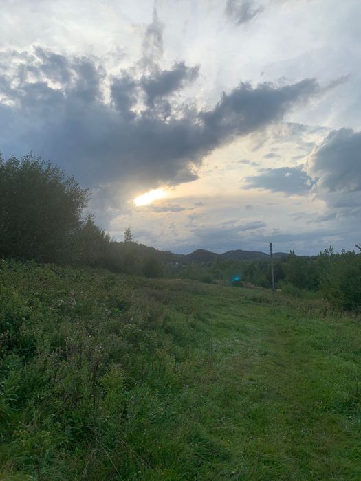 Продаж зем. ділянки 20 соток с. Багна Вижницький р-н Чернівецька обл.