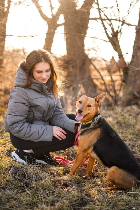 Собака шукає сімʼю в добрі руки