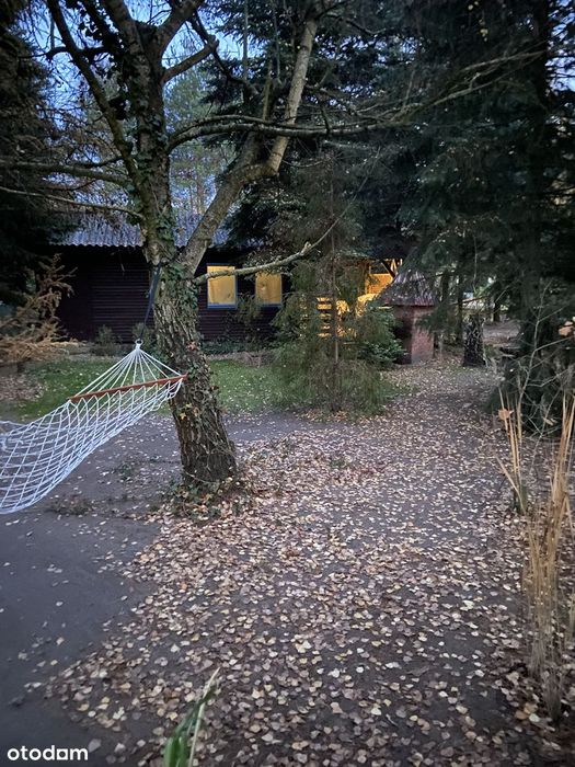 działka ROD 500 m2 miejscowość Krępa