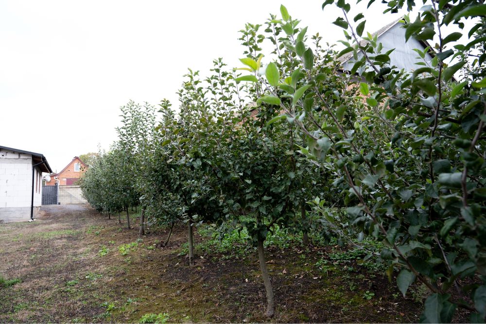 Продається будинок