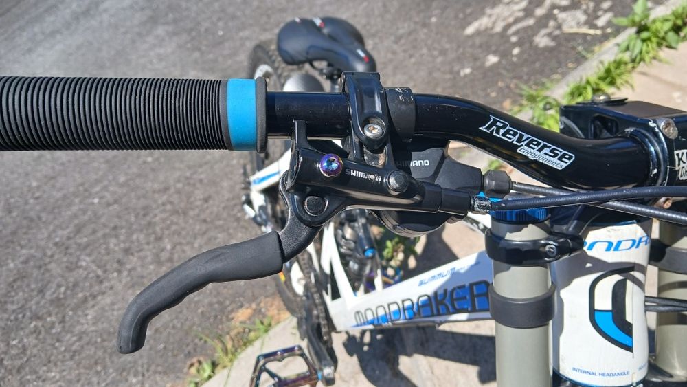 Mondraker Summum ProTeam Downhill