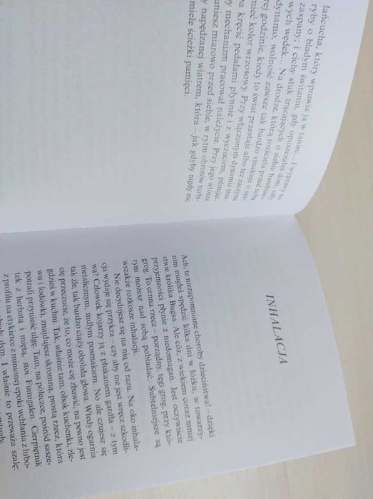 Pierwszy łyk piwa i inne drobne przyjemności Philippe Delerm