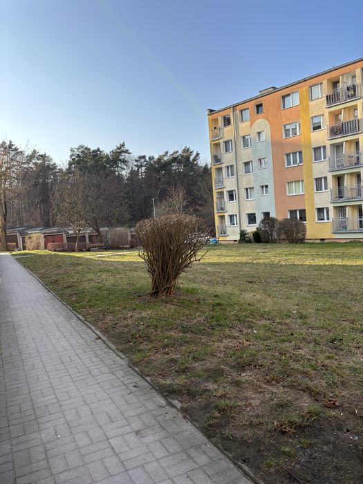 Mieszkanie na sprzedaz 42m