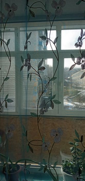 Вільно ‼️ Сдам посуточно свою уютную  квартиру