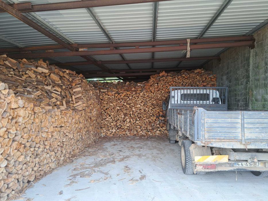 Lenha para recuperador salamandra  lareira  ect