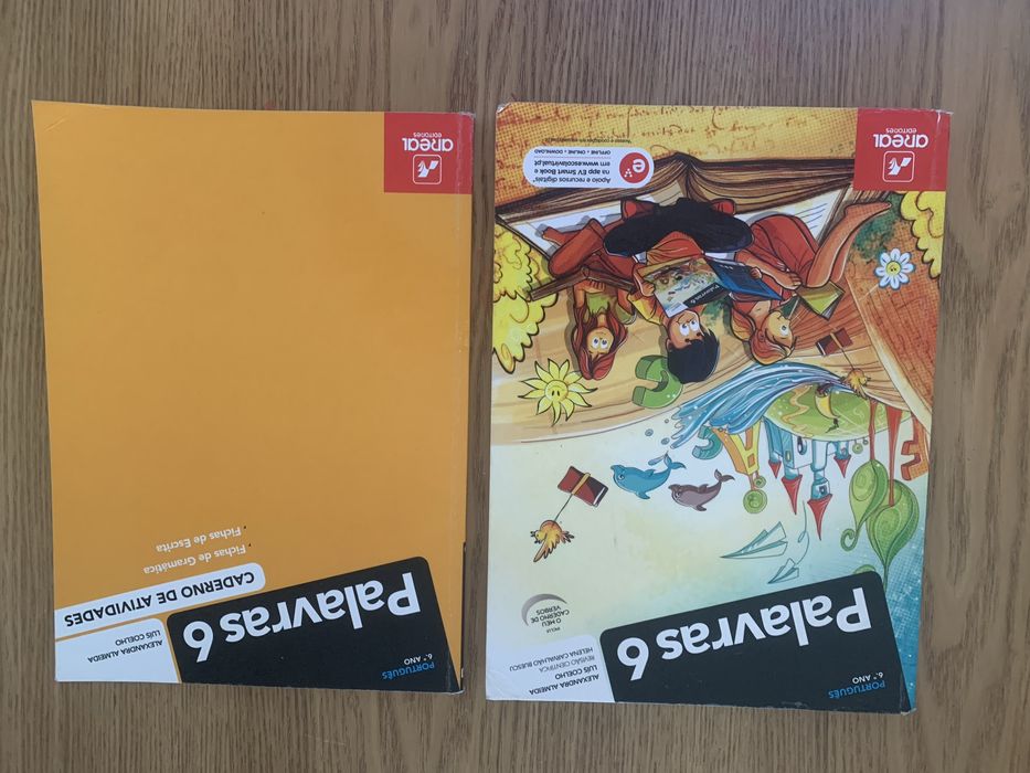 Manuais / livros - 6º ano