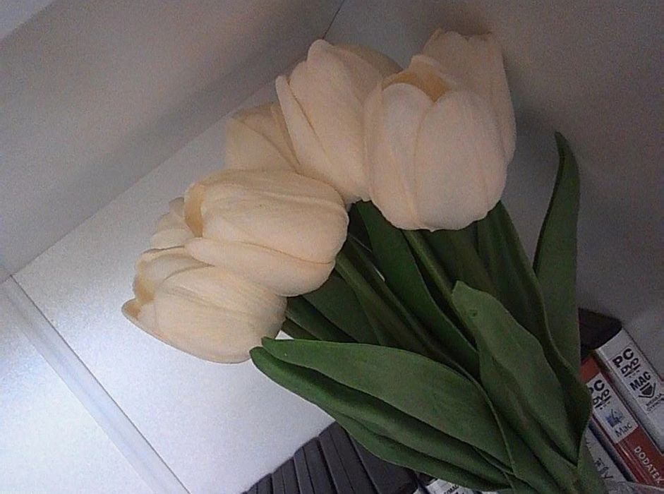 Czarny aparat cyfrowy