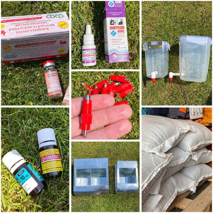 Продам все для кроликів