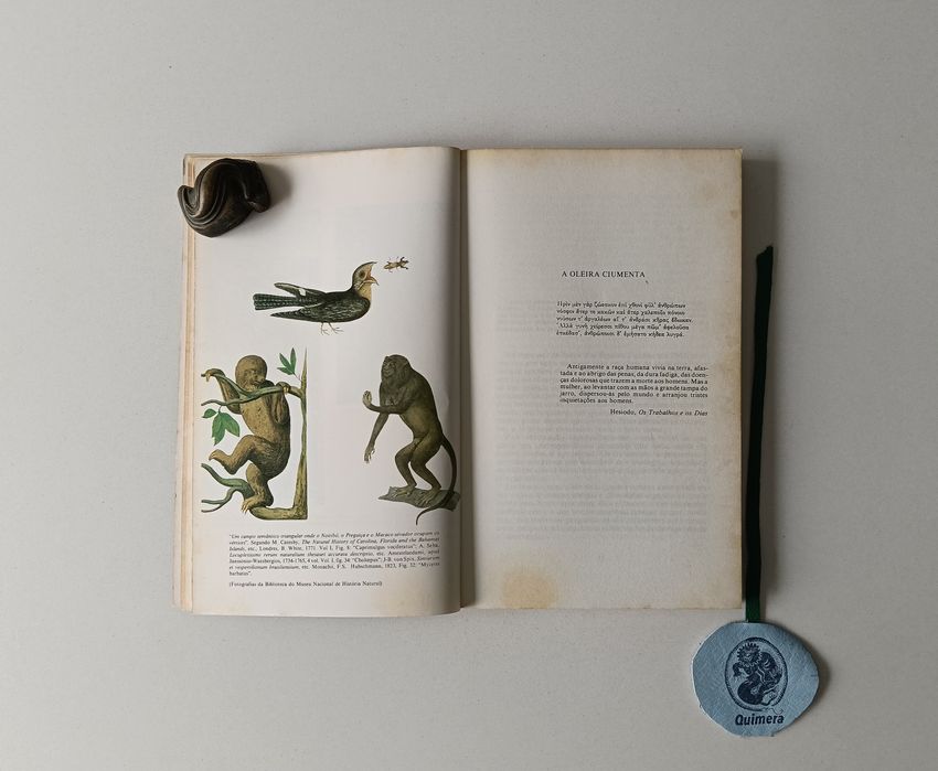 A oleira ciumenta, Claude Lévi-Strauss