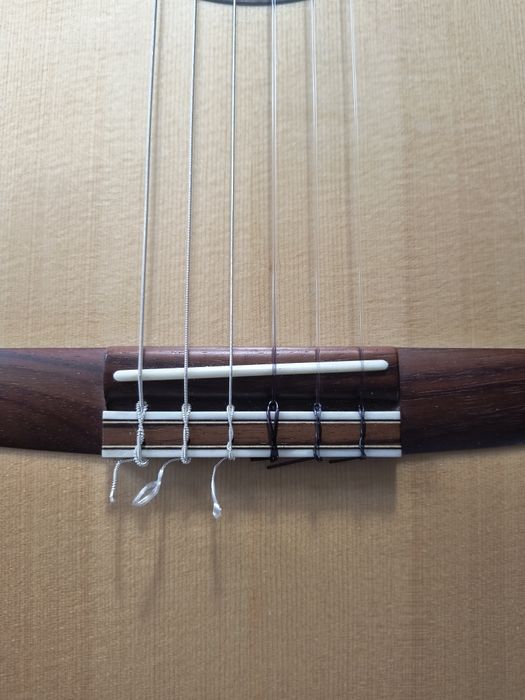 Gitara klasyczna Malinowscy