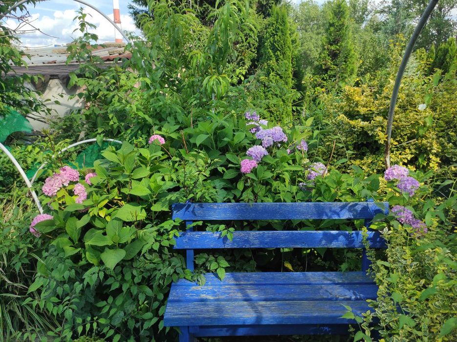 Działka ROD, ogródek działkowy - altanka, woda, prąd, dużo nasadzeń