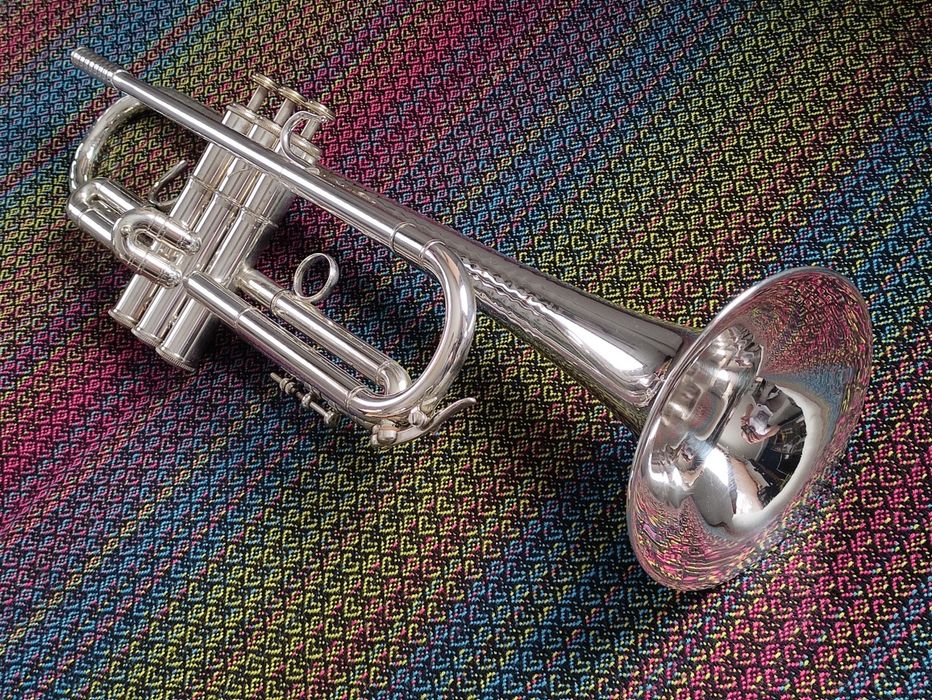 Trabka Haagston Brassego Cat Singingbell