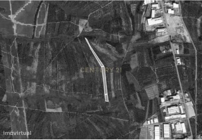Terreno Rústico com 13632 m² na Zona Industrial de Albergaria-a-Velha