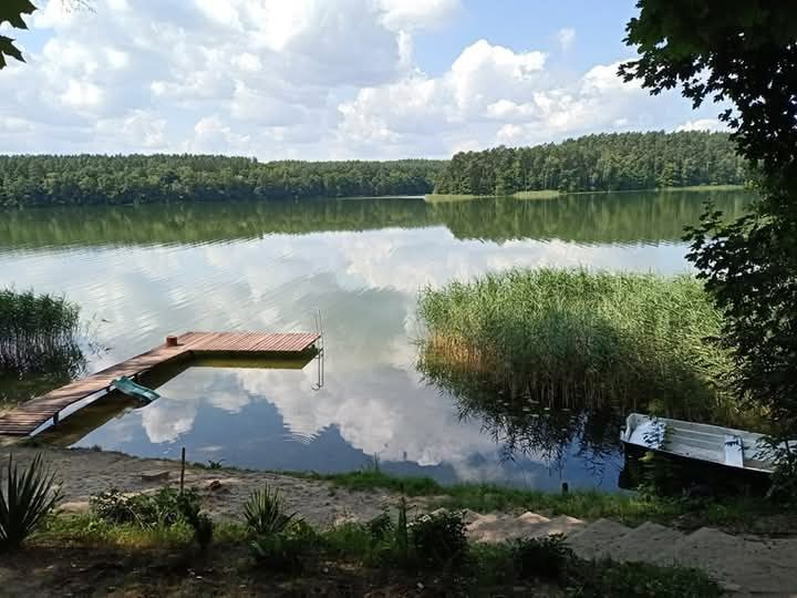 Pokoje do wynajecia Zbiczno.