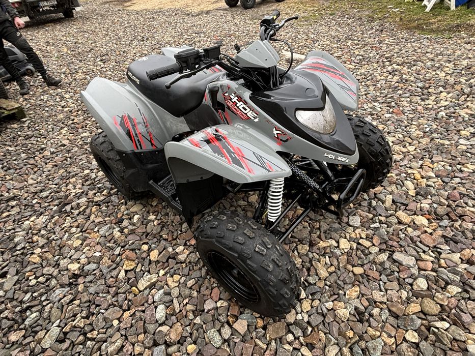 Polaris Phoenix 200 Silnik