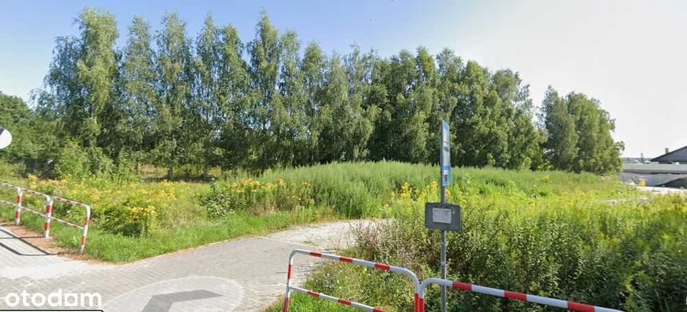 Sprzedam działkę budowlaną w Wilkszynie - Widok 3