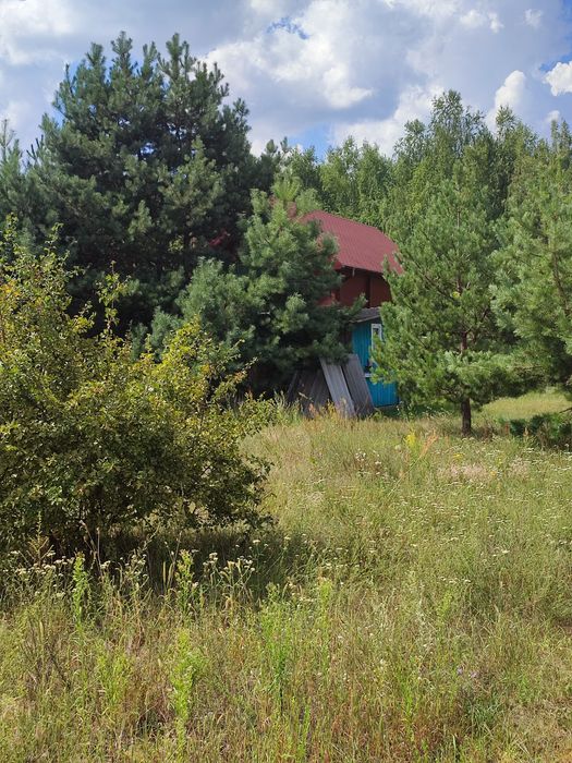 Продам участок 8сот. под застрой со светом с.Богдановка Броварск.район