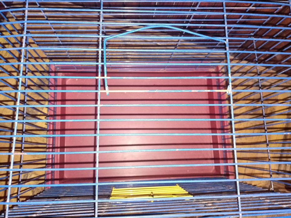 Клітка простора для крисок