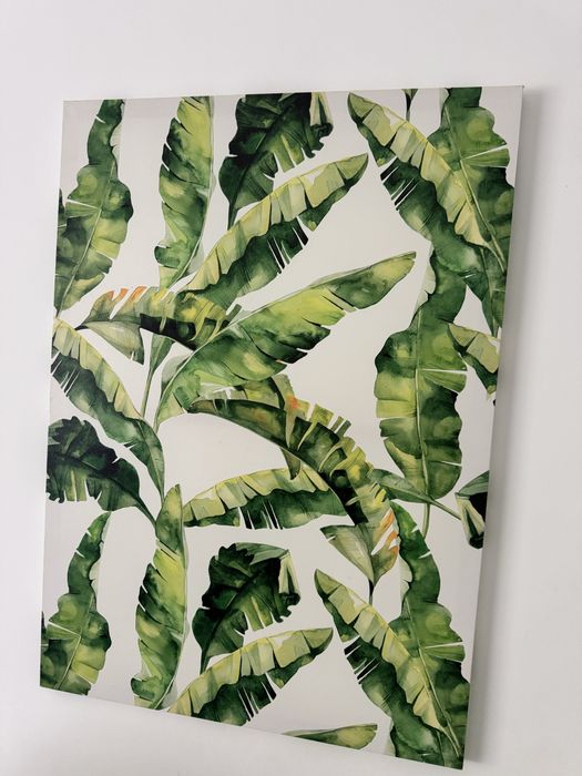 Telas 50x60cm decoracao