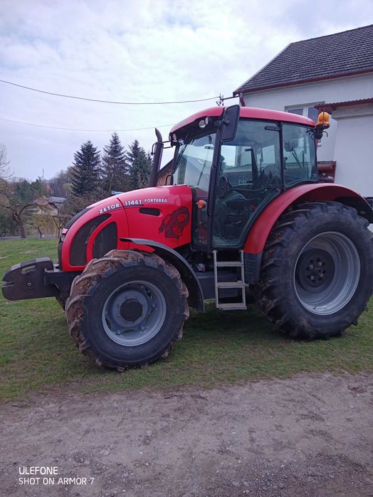 Odam suczke za darmo