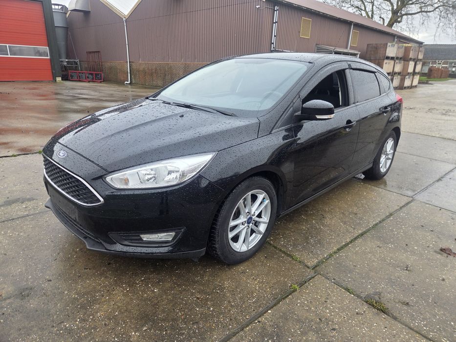 Ford       Focus