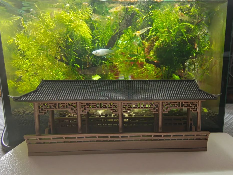 Corredor com Cobertura Estilo Chinês