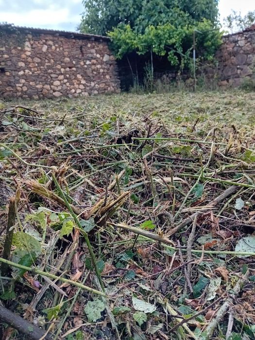 Limpezas de terrenos e podas de árvores