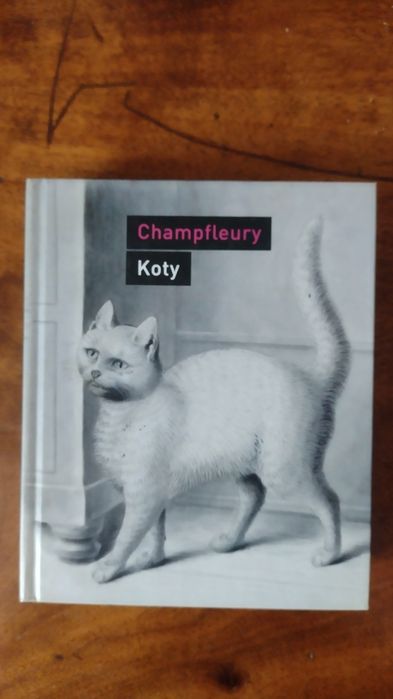 Koty Champfleury bdb słowo obraz