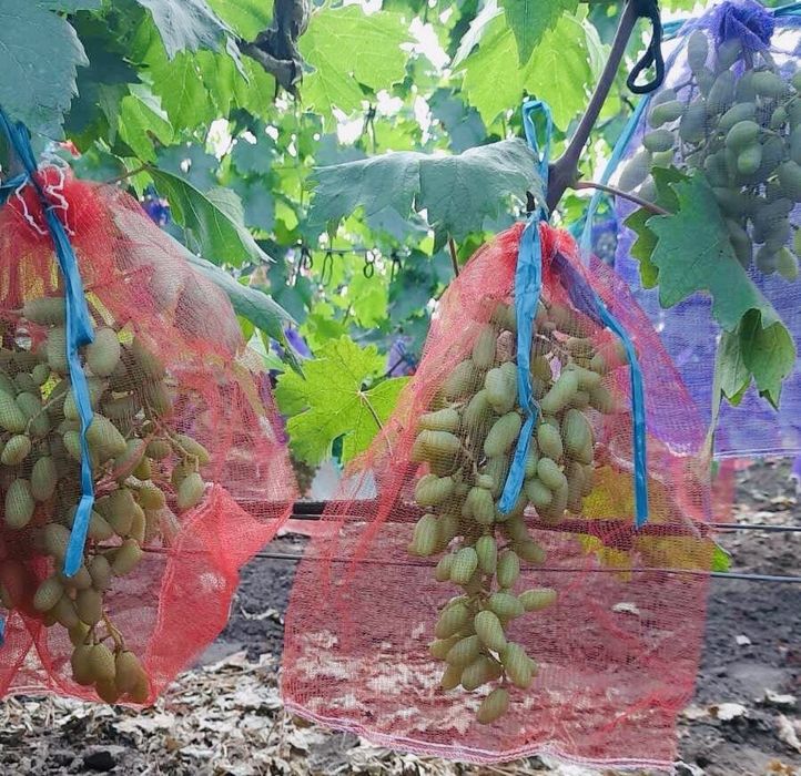 Полиэтиленовый завод