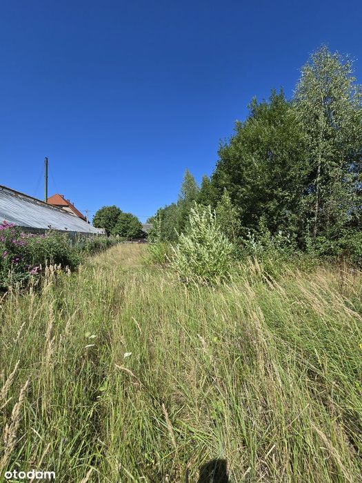 Głuszyca Górna ul. Graniczna