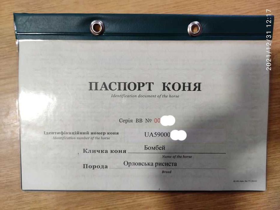 Жеребець на паровку