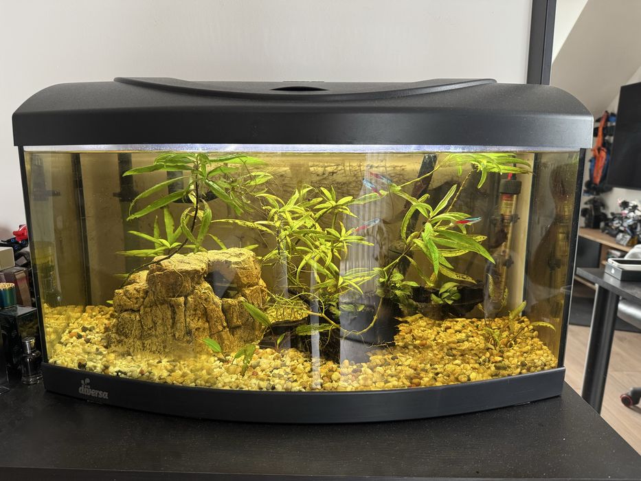 Akwarium 45L Filtr kubełkowy