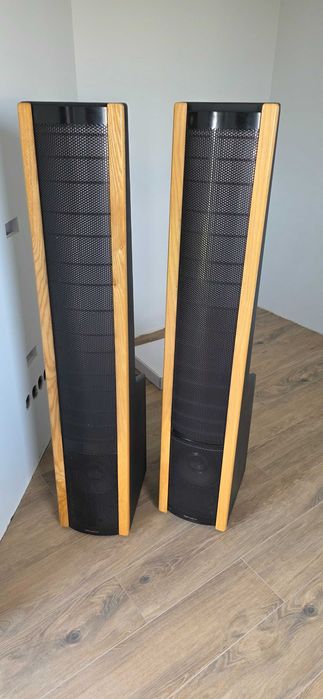 Martin Logan aerius