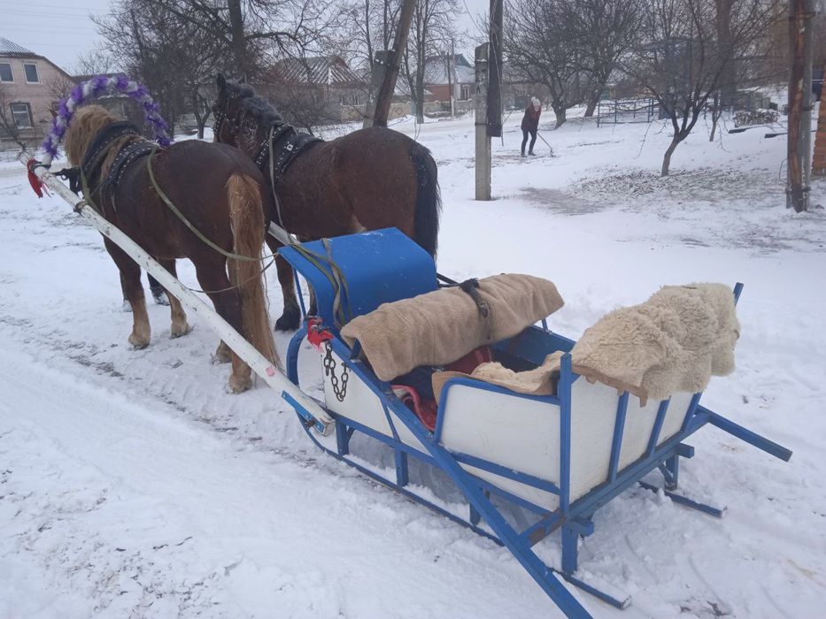 Сани для лошади!!