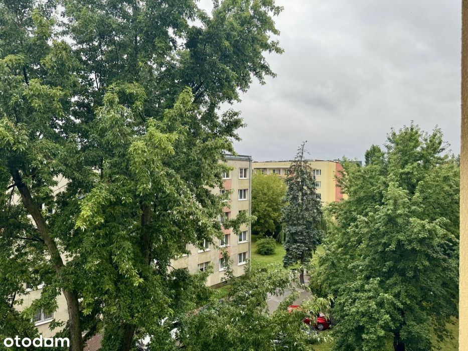 2 pok. tramwaj, klimatyzacja.