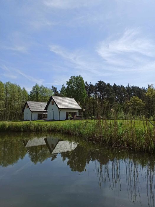 Całoroczne domki letniskowe na wynajem