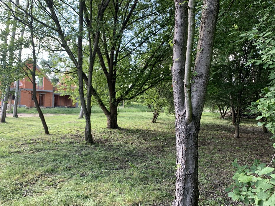 Dzialka Kanie gm. Brwinów
