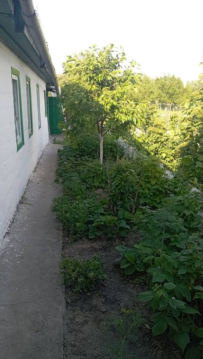 Продам добротну  садибу