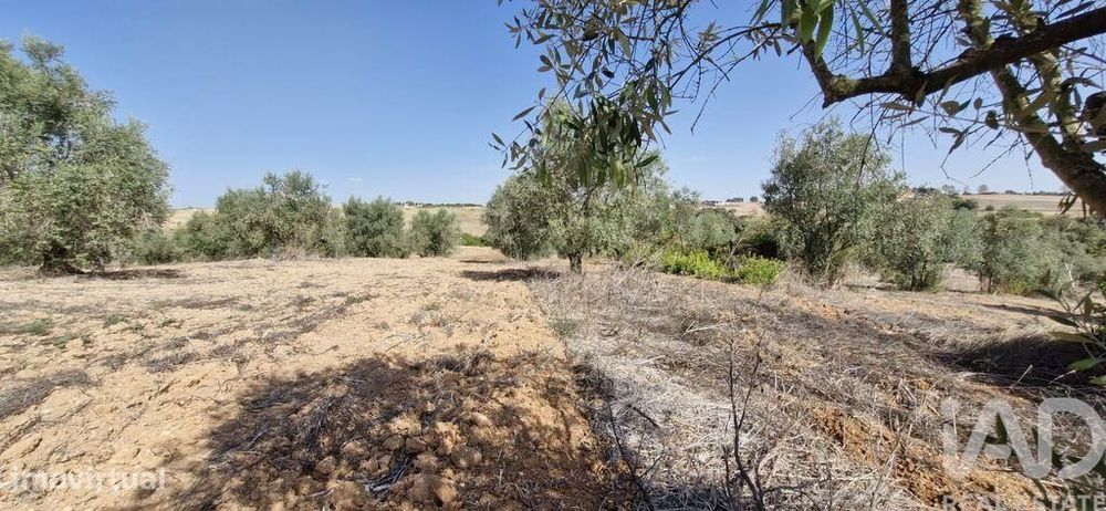 Terreno em Azambujeira e Malaqueijo de 12080,00 m2