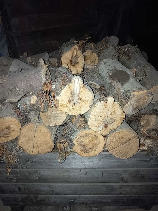 Lenha seca de macieira.