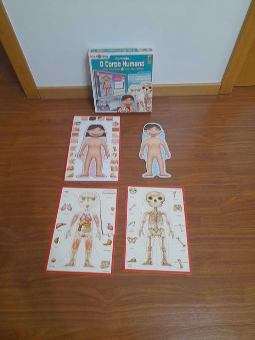 Jogo educativo: Aprendo... O corpo humano ㅤ