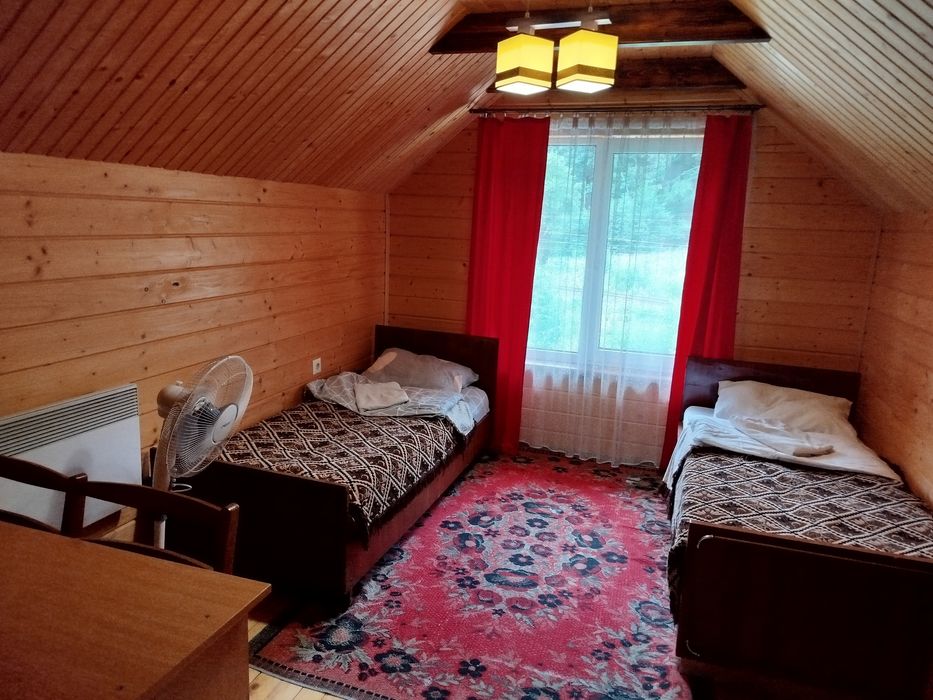 Відпочинок в Карпатах.