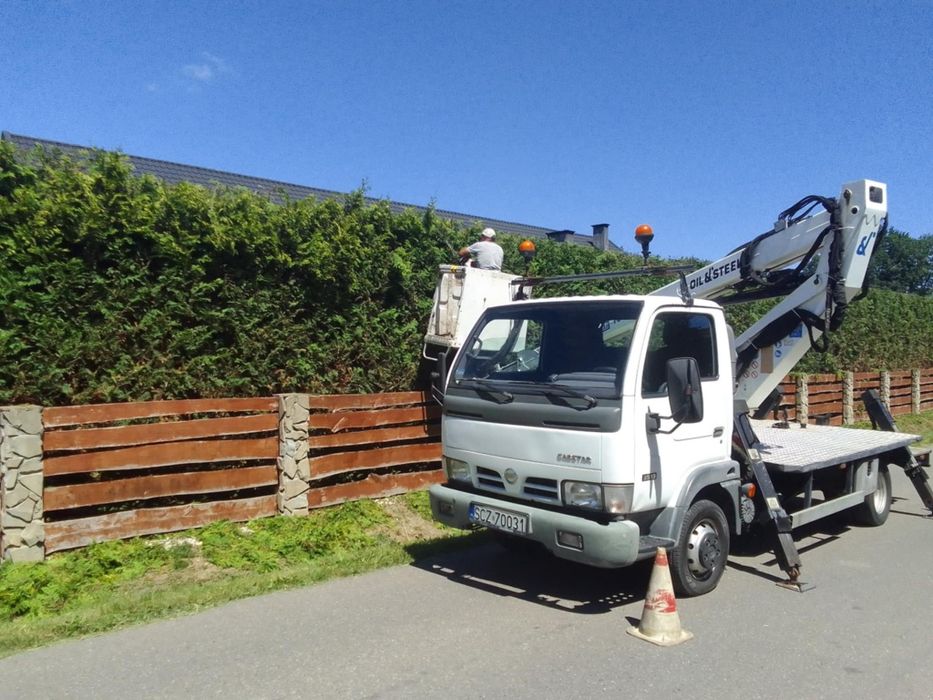 pracę pielęgnacyjne ogrodów, przycinanie drzew