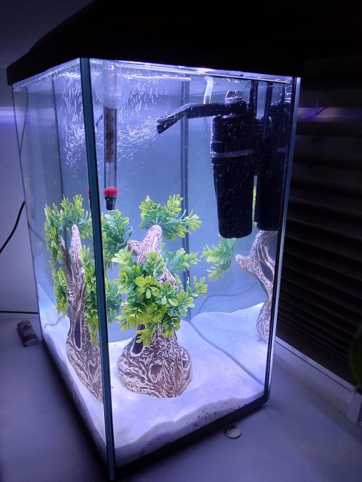 Akwarium  komplet