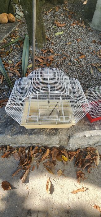 Gaiolas pequenas