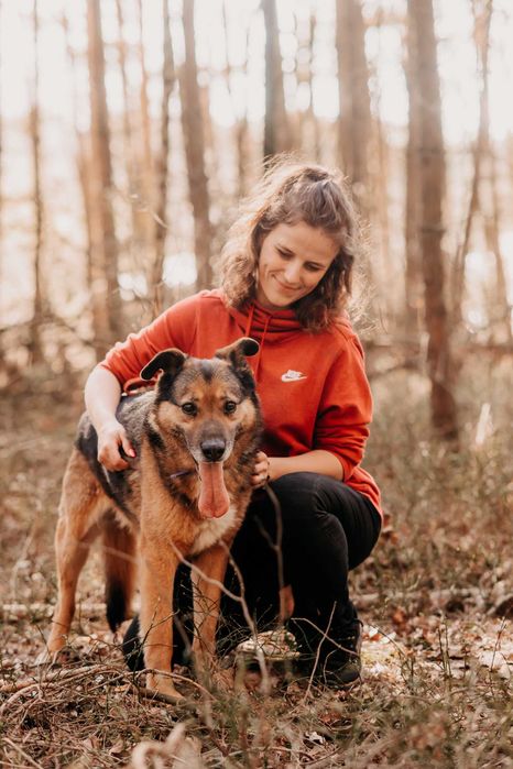 Mega pozytywny pieszczoch Gringo poleca się do adopcji!!!