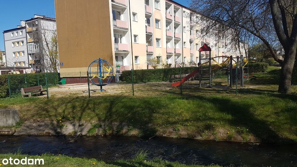 Zdjęcie 7