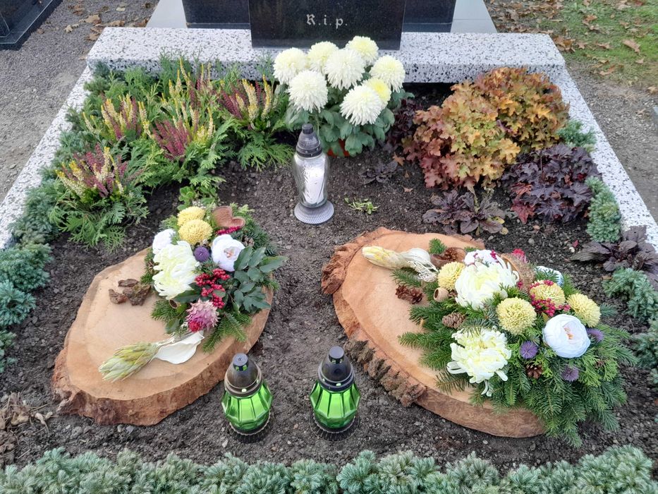 Plastry drewna na stolik, dekoracje świąteczne, nagrobki itp