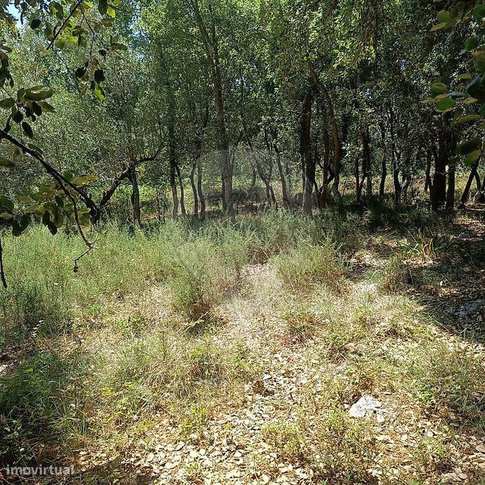 Terreno  para venda